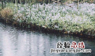 雨量毫米是什么意思 降雨量是怎么测试的