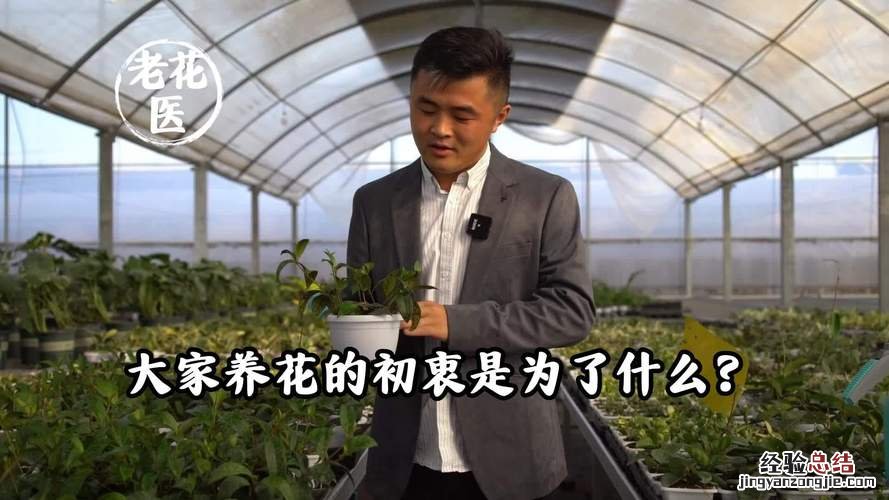 养花小心用错盆，怎么养都不活，怪不得你是养花杀手！