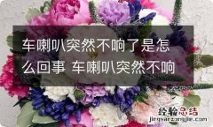 车喇叭突然不响了是怎么回事 车喇叭突然不响了是什么原因