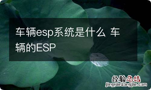 车辆esp系统是什么 车辆的ESP