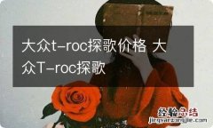 大众t-roc探歌价格 大众T-roc探歌