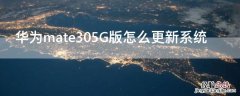 华为mate30pro5g更新系统 华为mate305G版怎么更新系统