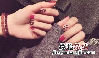 新手画美甲片教程视频 新手画美甲片