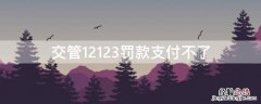 交管12123罚款支付不了 交管12123罚款支付不了,服务器