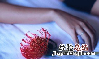 梦女是什么 梦女是什么意思二次元