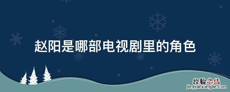 赵阳是哪部电视剧里的角色