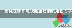 葛优在哪部电视剧里扮演的角色名字叫严守一