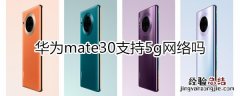 mate30支持5g网络吗