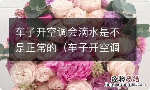 车子开空调会滴水是不是正常的呢 车子开空调会滴水是不是正常的