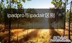 ipadpro与ipadair区别