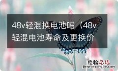 48v轻混电池寿命及更换价格 48v轻混换电池吗