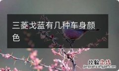 三菱戈蓝有几种车身颜色