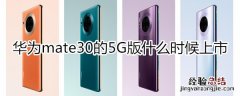 mate305g什么时候上市