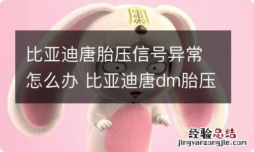 比亚迪唐胎压信号异常怎么办 比亚迪唐dm胎压监测信号异常