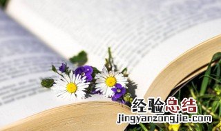 附和合同是什么意思 附和合同解释