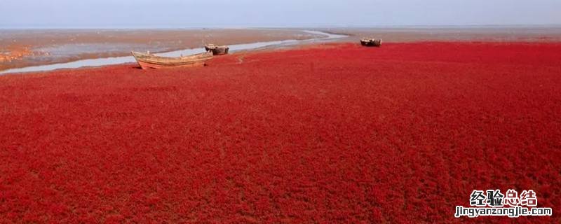 红海海湾内部的海水为什么是红色的