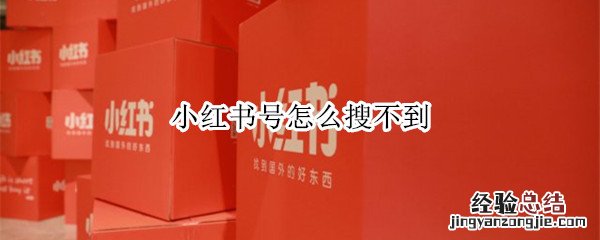 小红书号怎么搜不到