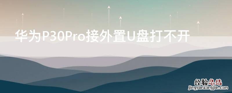 华为P30Pro接外置U盘打不开