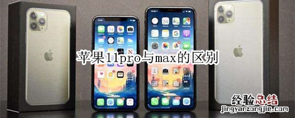 苹果11pro与max的区别