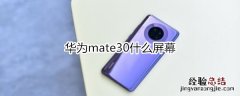 华为mate30什么屏幕