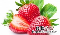 冰糖草莓可以保存多久 冰糖草莓的介绍