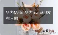 华为Mate 华为mate60发布日期