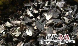 石耳怎么泡发和清洗 石耳的清洗方法和注意事项