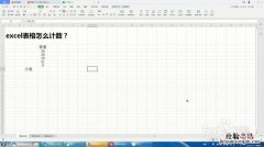 Excel表怎么计数