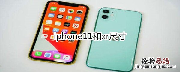 iphone11和xr尺寸