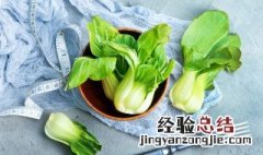 阳台种菜方法大全 阳台种菜的方法