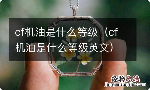 cf机油是什么等级英文 cf机油是什么等级