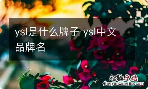 ysl是什么牌子 ysl中文品牌名