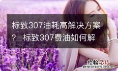 标致307油耗高解决方案？ 标致307费油如何解决