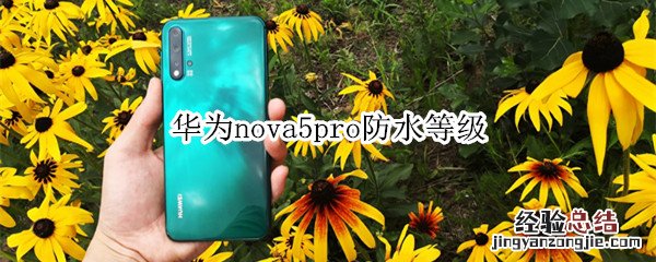 华为nova5pro防水等级