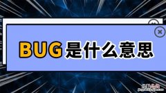 bug是什么意思