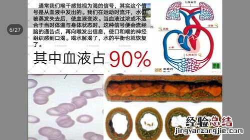 水有哪些用处
