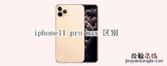 iphone11 pro max 区别