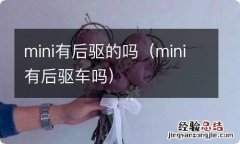 mini有后驱车吗 mini有后驱的吗