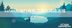 safari无法打开网页丢失网络连接