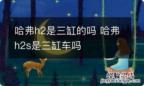 哈弗h2是三缸的吗 哈弗h2s是三缸车吗