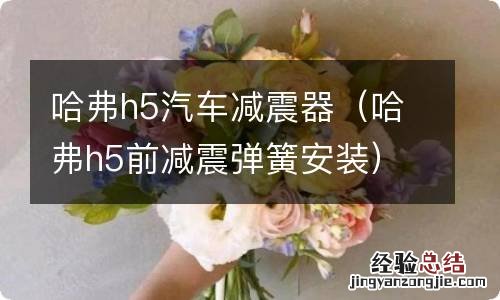 哈弗h5前减震弹簧安装 哈弗h5汽车减震器