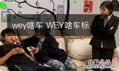 wey啥车 WEY啥车标