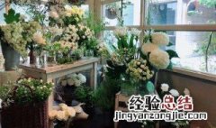 花店的养殖方法 花店的养殖方法和技术