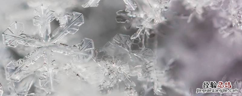 雪花有8个花瓣吗