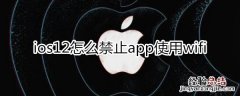 ios12禁止app使用wifi