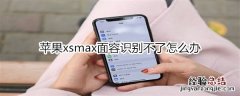 苹果xsmax面容识别不了怎么办