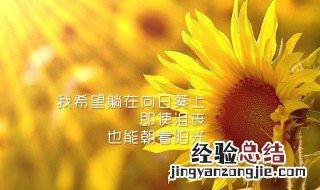 心灵鸡汤一句简短的话 关于简短的一句心灵鸡汤