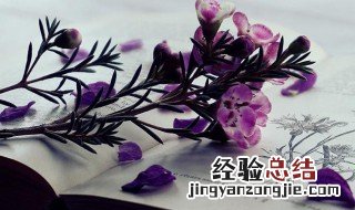 好听女生网名可爱仙气二字不重复 好听女生网名可爱仙气