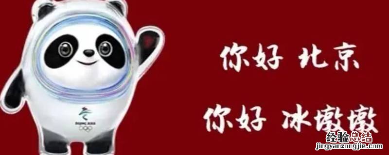 冰墩墩什么材料做的