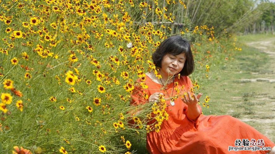 三十条最美“花”路，走一辈子都不够